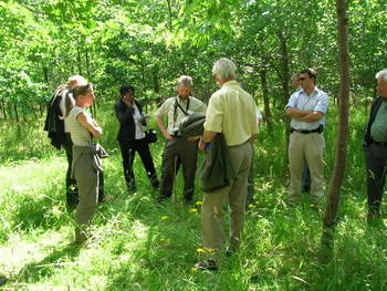 Photo of cherry and oak silviculture at Northmoor Trust