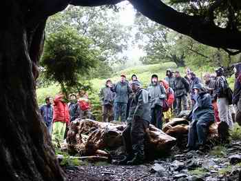 Photo of the group inspecting the Borrowdale yew