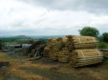 Photo of fence posts at Pontbren